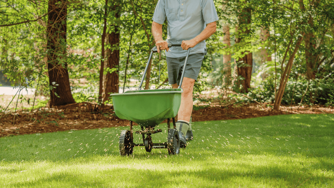Fertilize This! Your Ultimate Guide to Plant Nutrition - Georgina Garden Centre