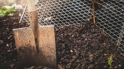 Composting: Turning Scraps into Black Gold - Georgina Garden Centre