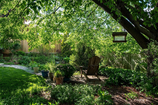 Cool Your Yard and Cut Your Carbon: Small Shade Trees for Big Impact - Georgina Garden Centre