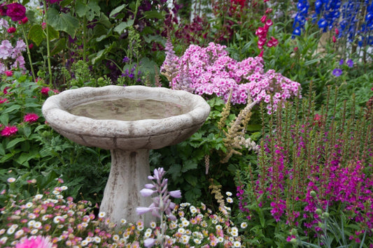 Low-Maintenance, High-Reward: How to Start a Chaos Garden - Georgina Garden Centre