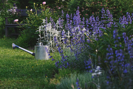 Buzz Off, Bloodsuckers! Plants That Keep Mosquitoes Out of Your Garden - Georgina Garden Centre
