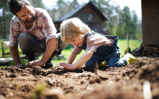 A Vegetable Gardening Masterclass Part 3: Sow, Grow, Harvest - Georgina Garden Centre