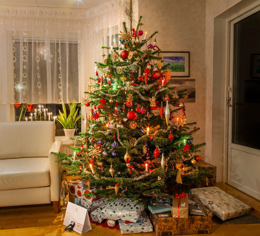 Say Yes to Fresh: How Real Christmas Trees Support Local Businesses and the Planet - Georgina Garden Centre