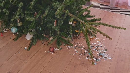 How to Murder Your Real Christmas Tree: A Satirical Guide to Holiday Neglect - Georgina Garden Centre