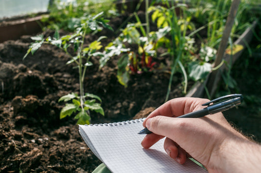 A Vegetable Gardening Masterclass Part 2: Sow, Grow, Harvest - Georgina Garden Centre