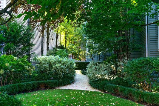 Planting Services - Georgina Garden Centre