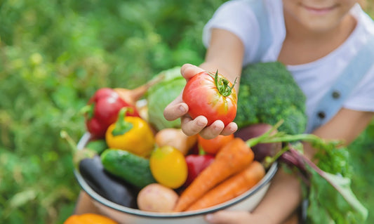 Small-Scale Food Preservation and Homesteading - Georgina Garden Centre