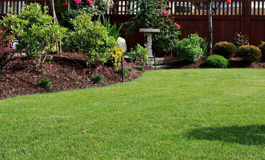 10+ Tips for Better Mowing - Georgina Garden Centre