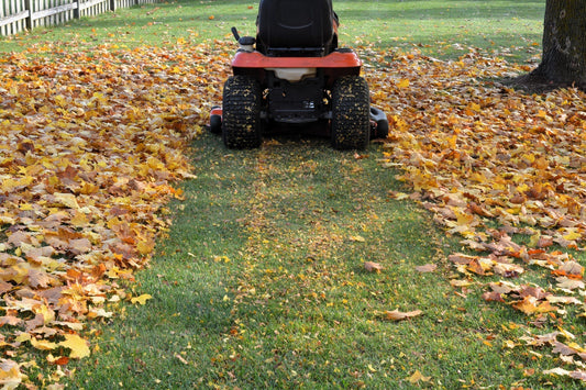 Get It Done Before It Freezes: October Garden Must-Dos