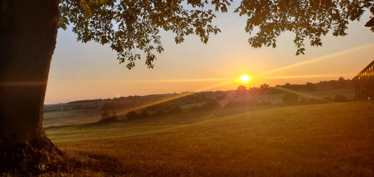 The Natural Symphony: Psithurism, Petrichor, and More – Experiencing Your Garden - Georgina Garden Centre