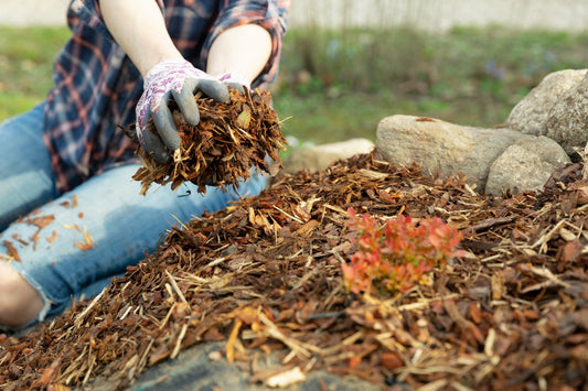 Why Wood Mulch is Your Garden's Best Friend - Georgina Garden Centre