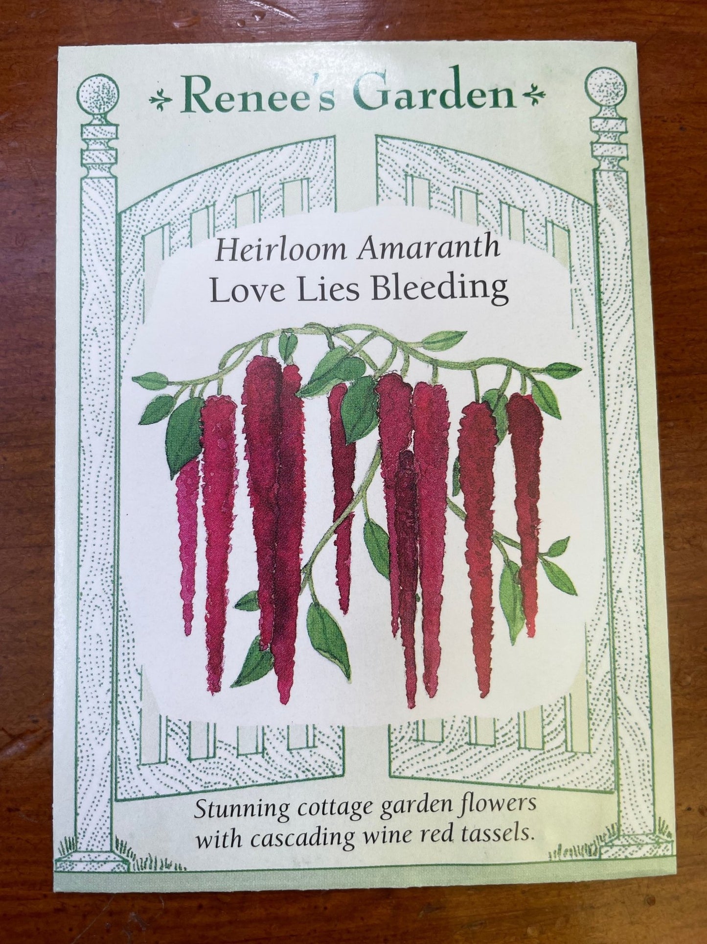 Amaranth Love Lies Bleeding - Georgina Garden Centre