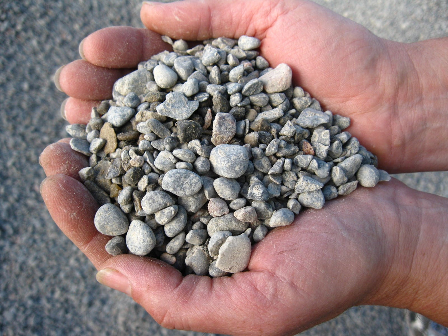 Pea Gravel Bagged - Georgina Garden Centre