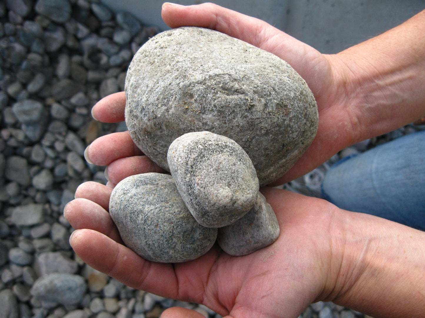 River Rock Small 1-3" Bulk - Georgina Garden Centre