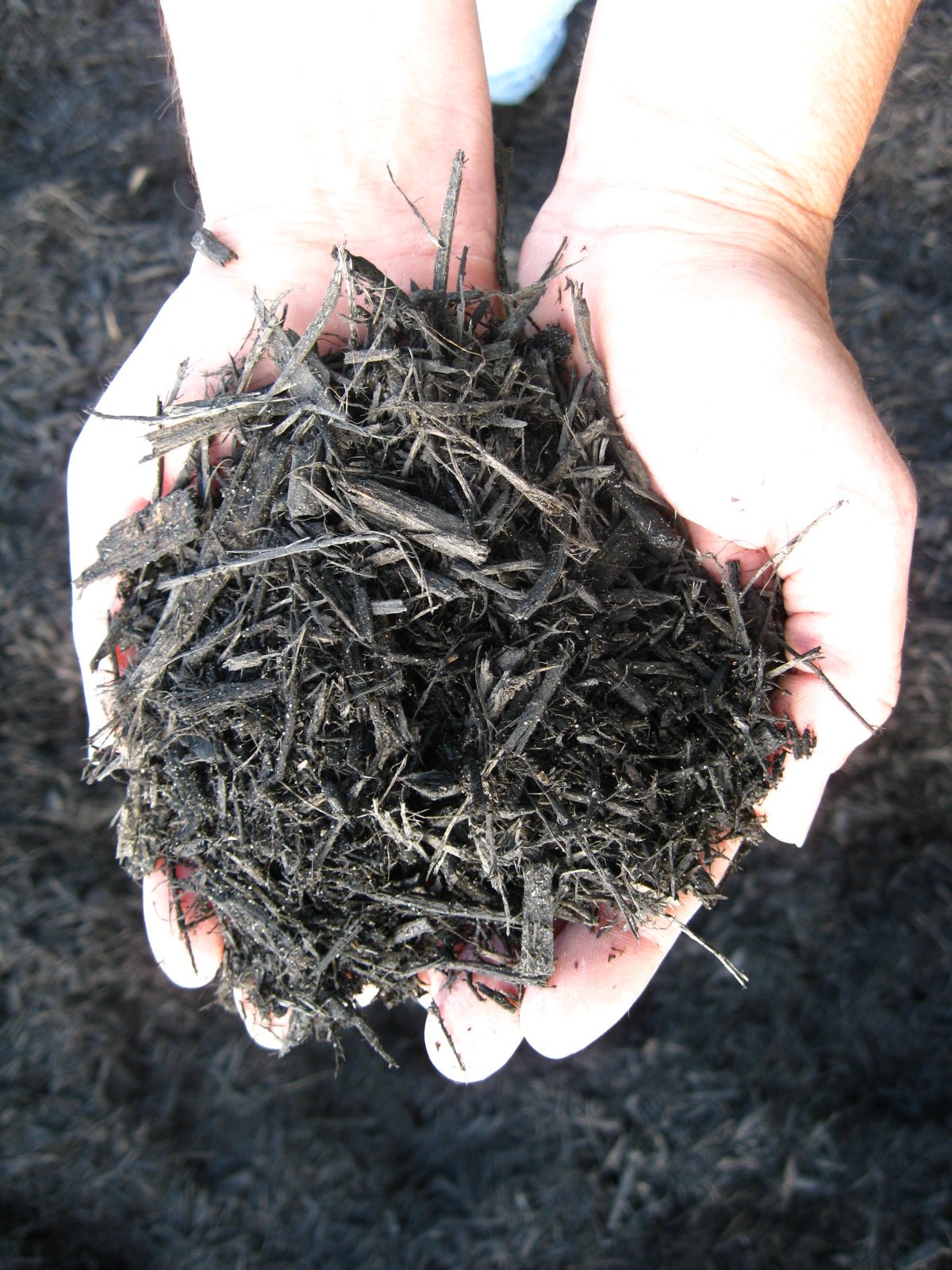 Mulch Black Bagged - Georgina Garden Centre