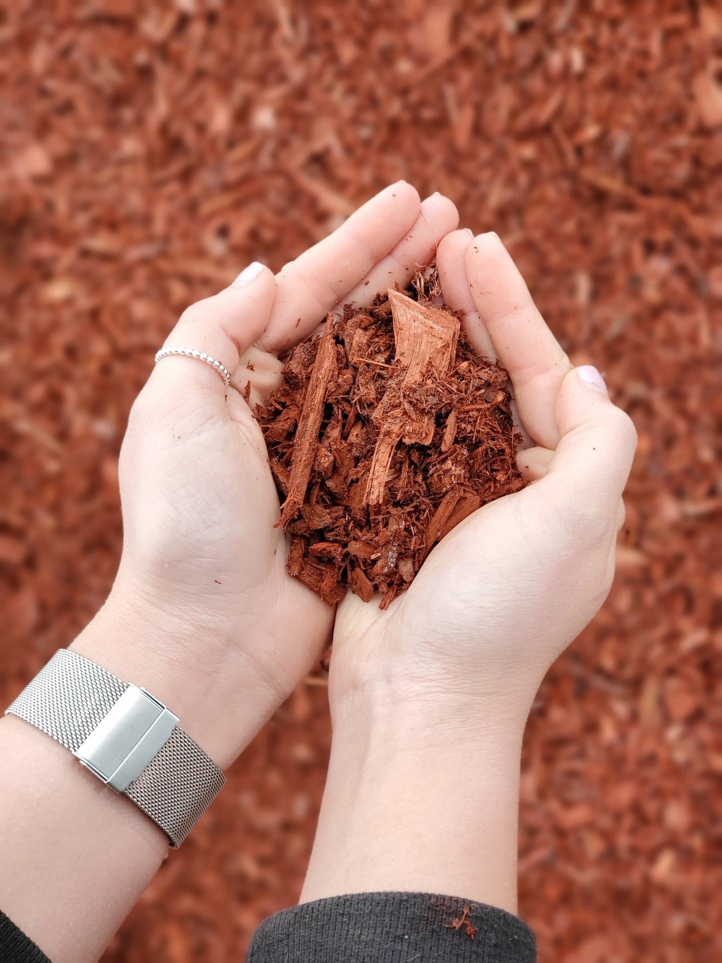 Mulch Red Bagged - Georgina Garden Centre