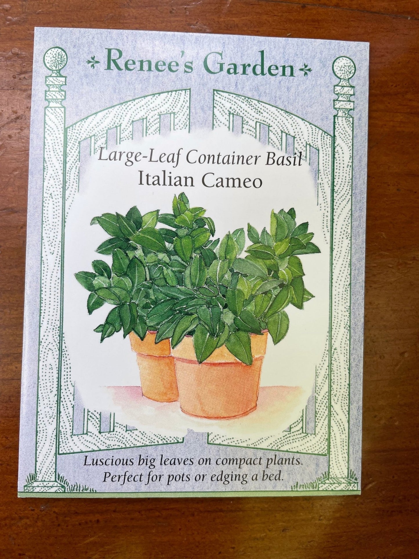 Basil Italian Cameo - Georgina Garden Centre