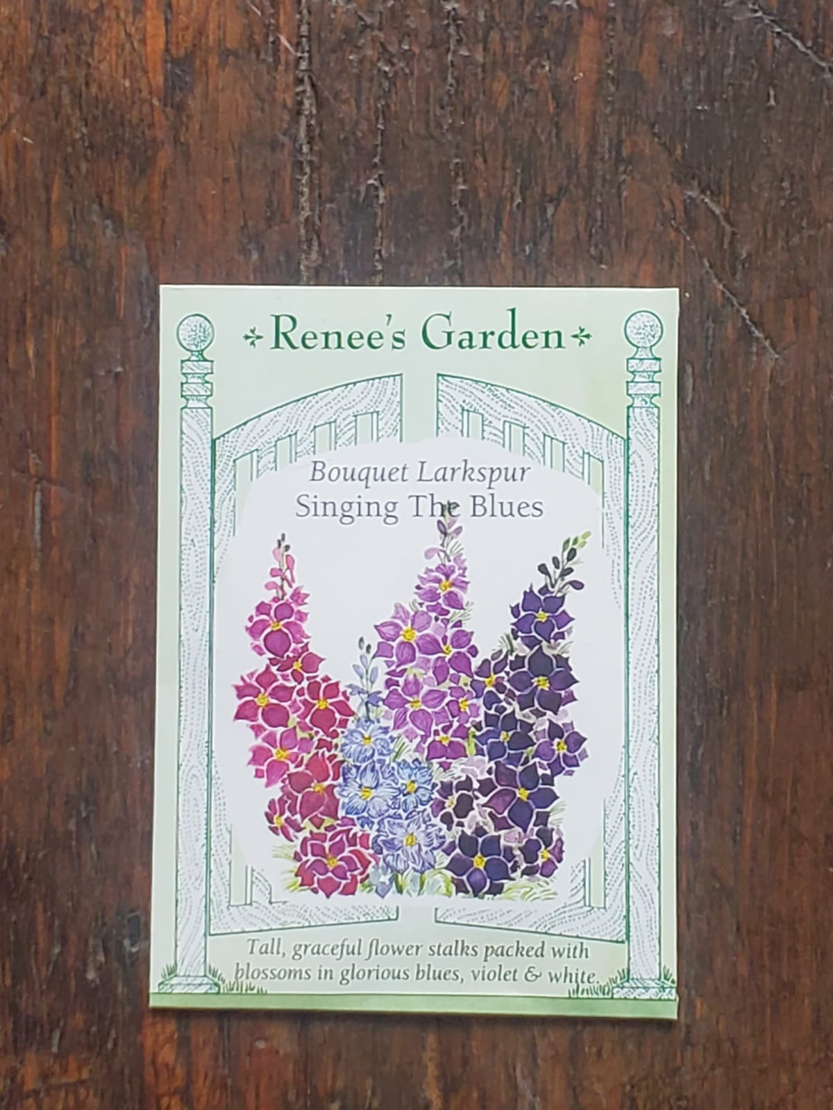 Larkspur Singing The Blues Seeds - Georgina Garden Centre