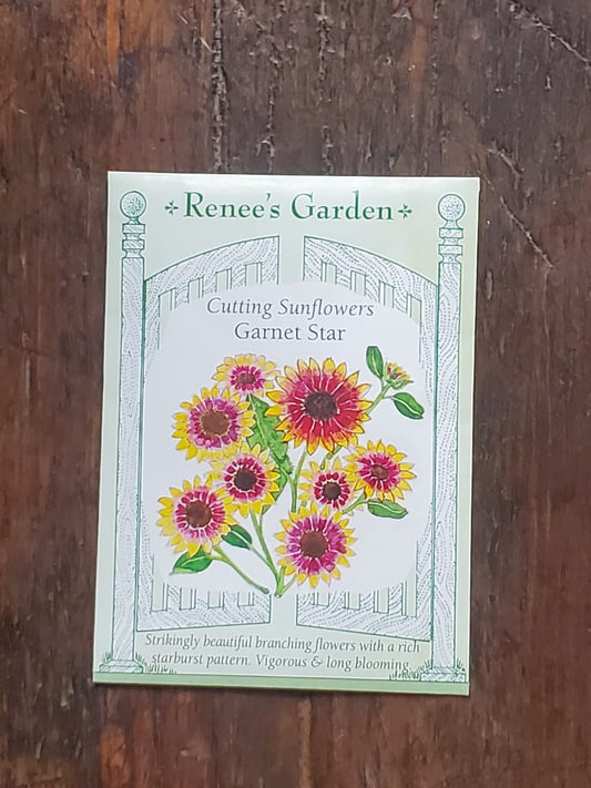 Sunflower Garnet Star Seed - Georgina Garden Centre