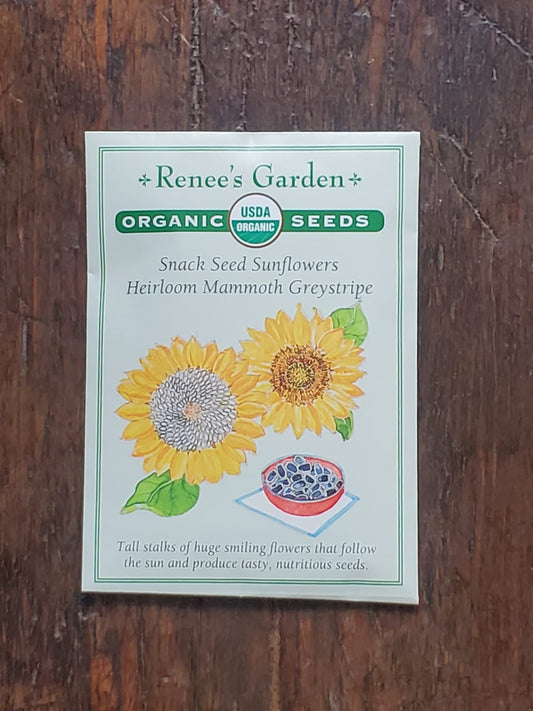 Sunflower Heirloom Mammoth Greystripe Organic Seed - Georgina Garden Centre