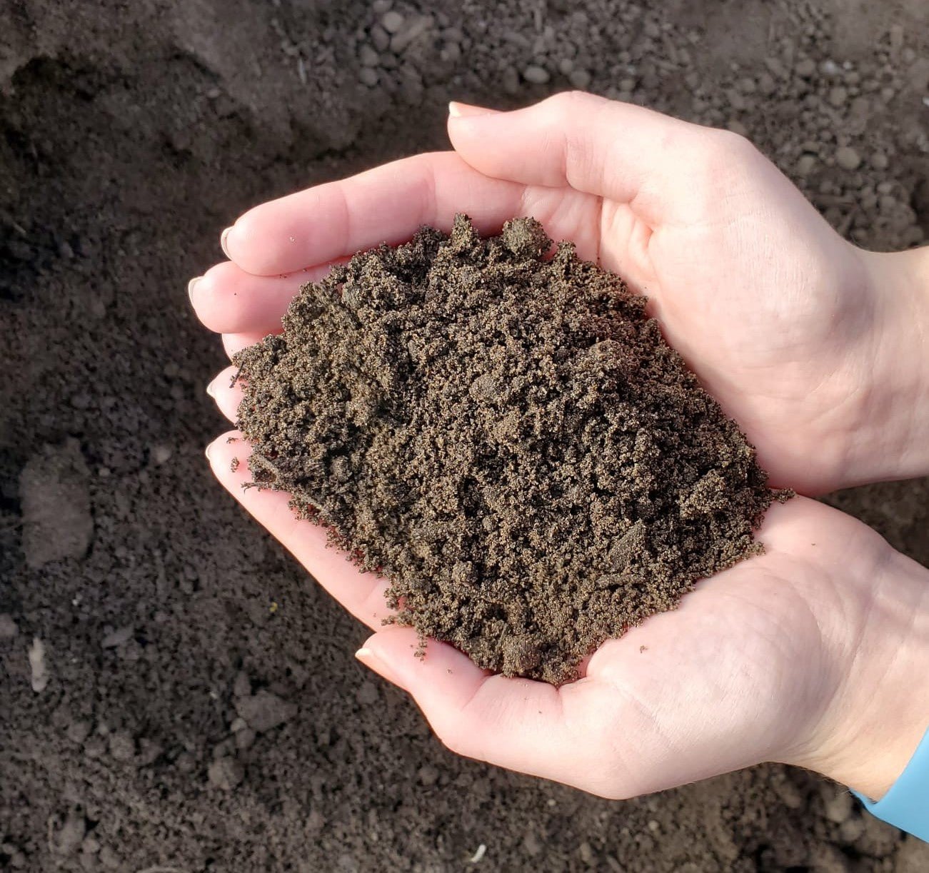 Soil Topdresser Bulk - Georgina Garden Centre