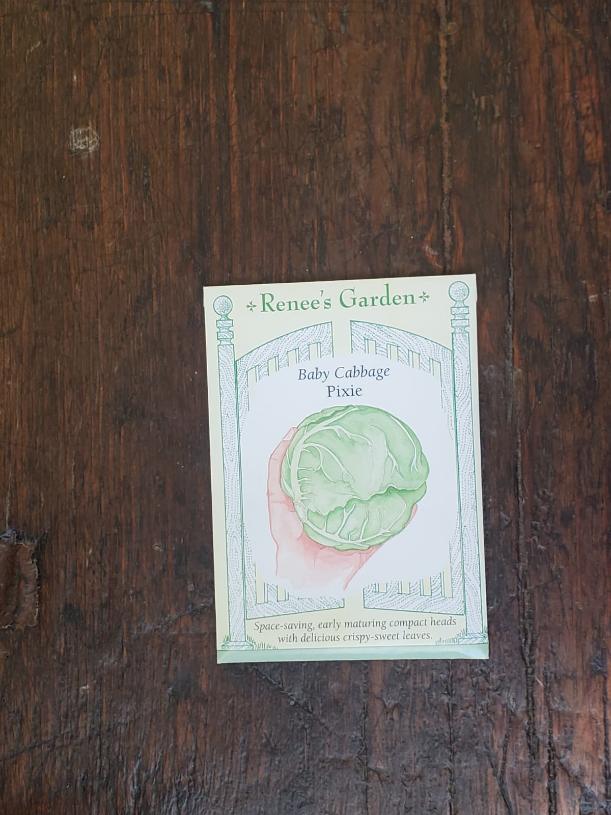 Cabbage Baby Pixie Seed