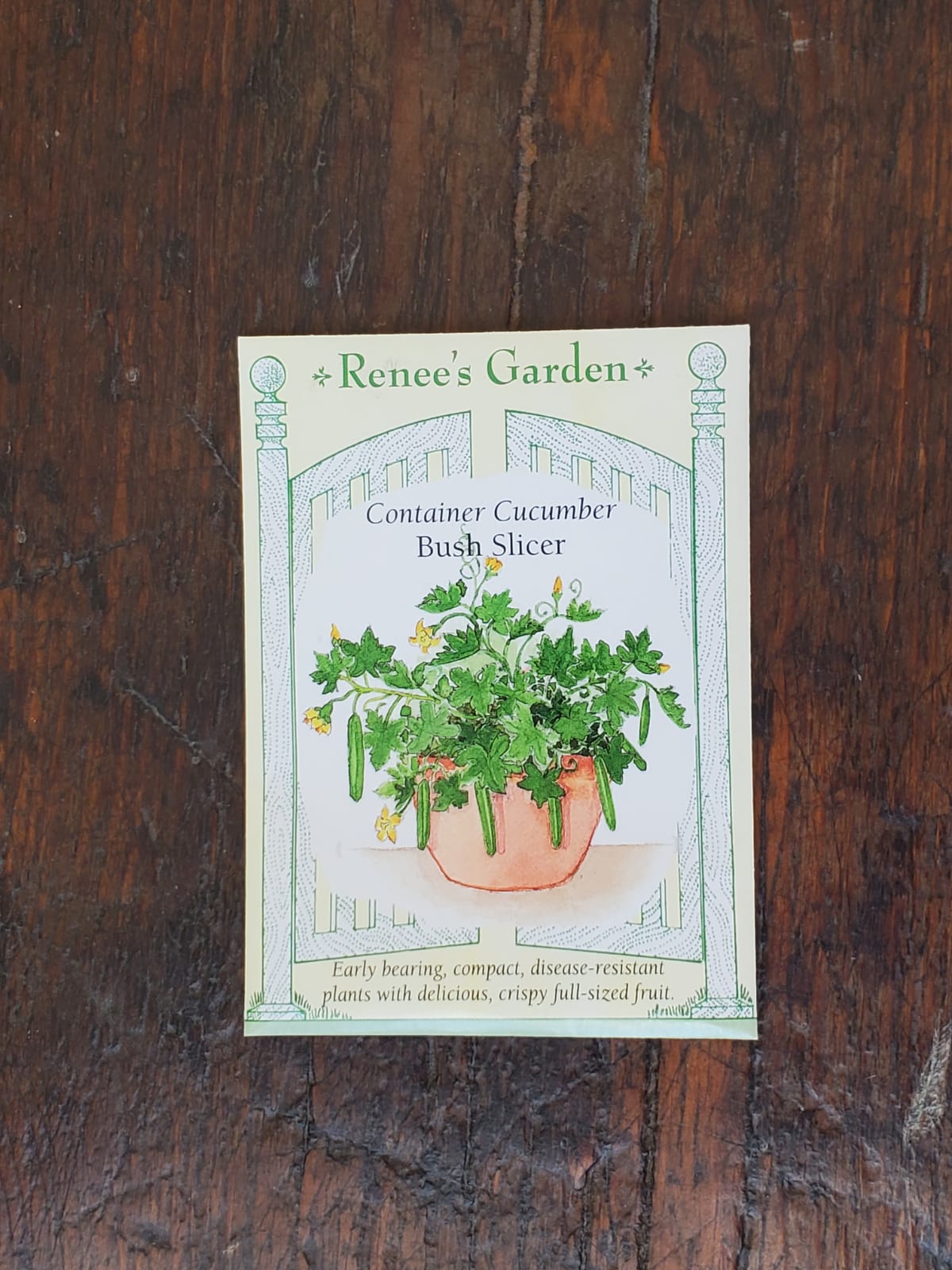 Cucumber Container Bush Slicer Seed