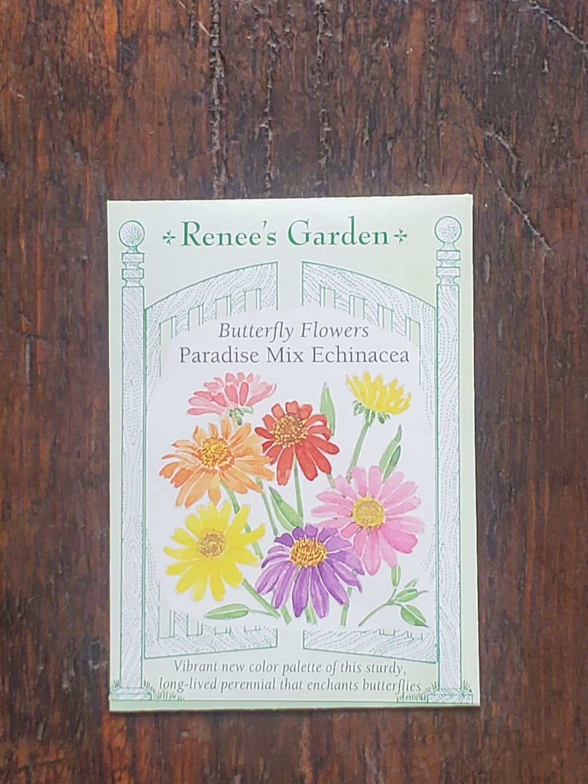 Echinacea Paradise Mix Seed