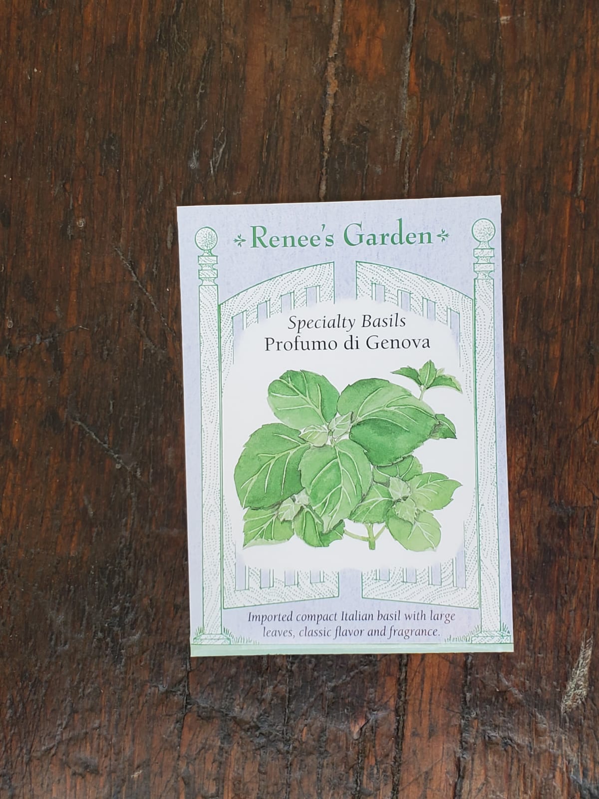 Basil Profumo di Genova Seed Georgina Garden Centre