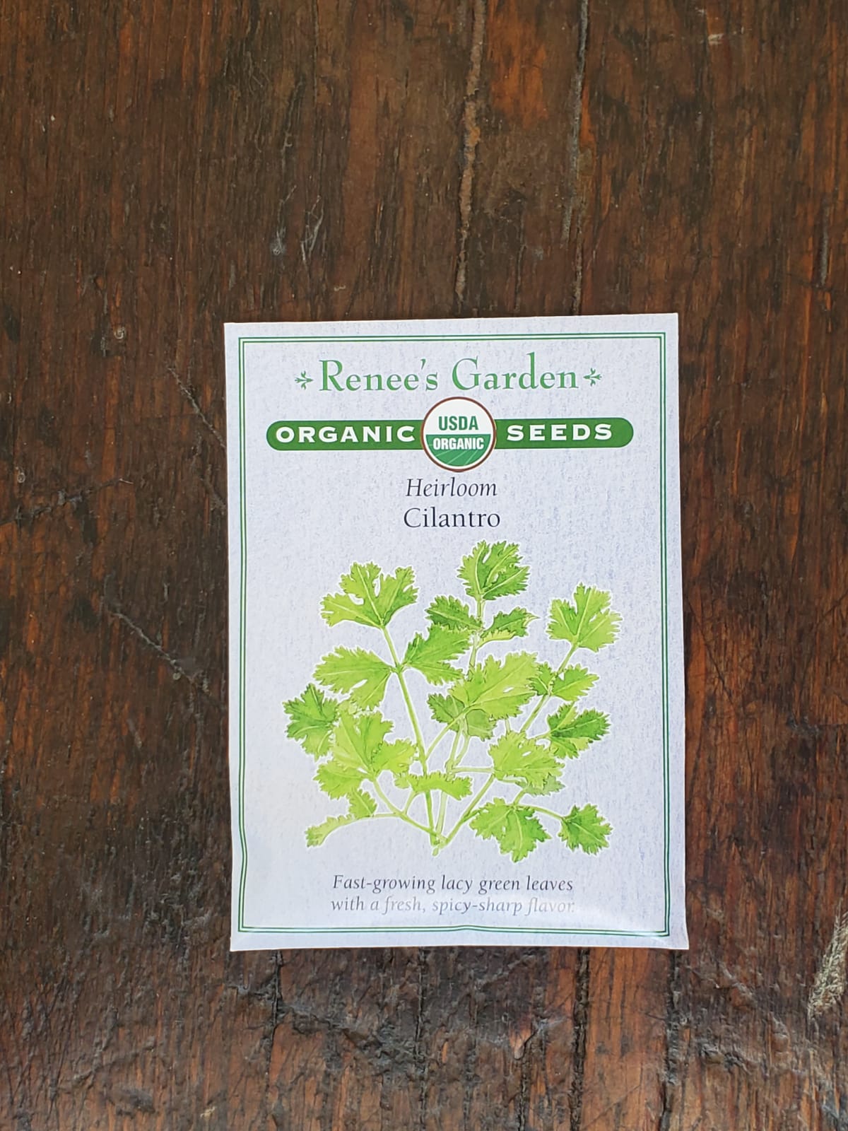 Cilantro Organic Seed