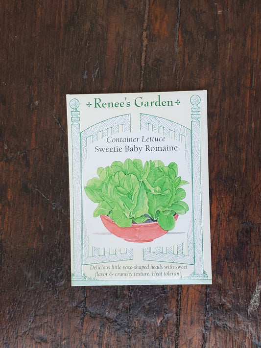 Lettuce Container Sweetie Baby Romaine Seed