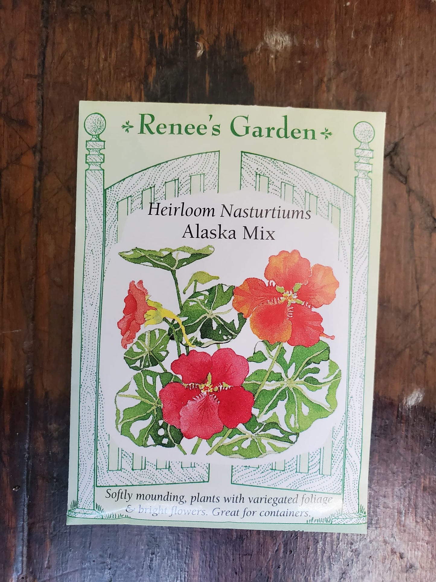 Nasturtiums Alaska Mix Seed