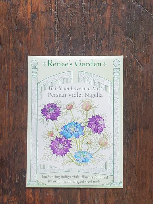Nigella Persian Violet Seed
