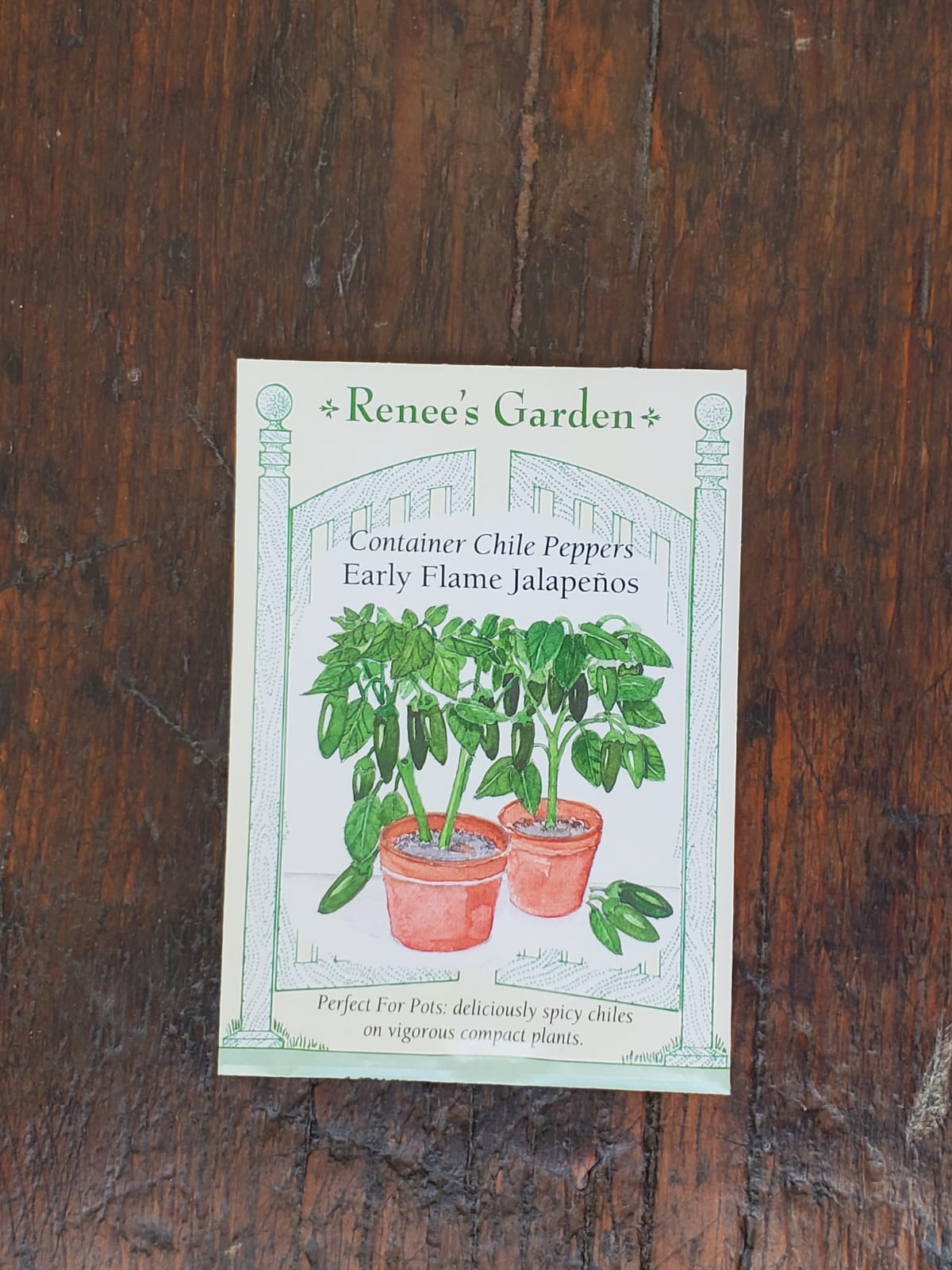 Pepper Early Flame Jalepeno Seed