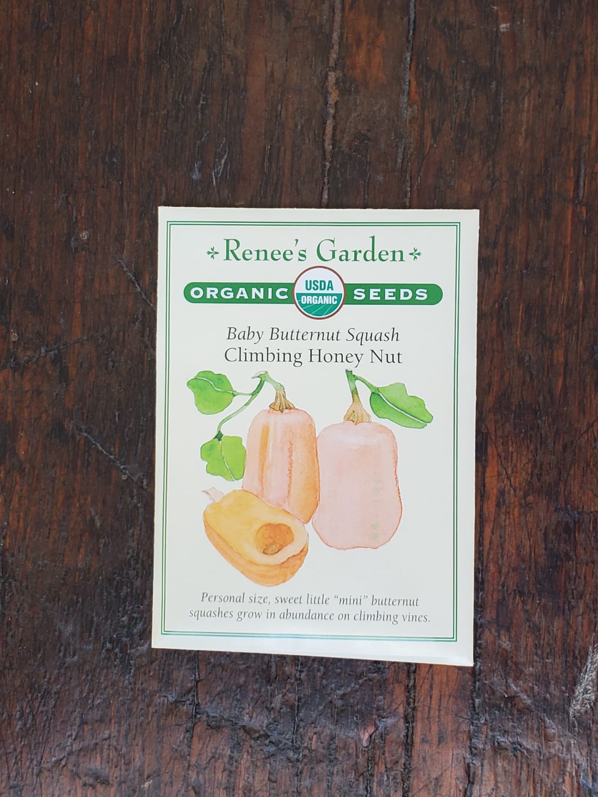 Squash Winter Baby Honey Nut Organic Seed