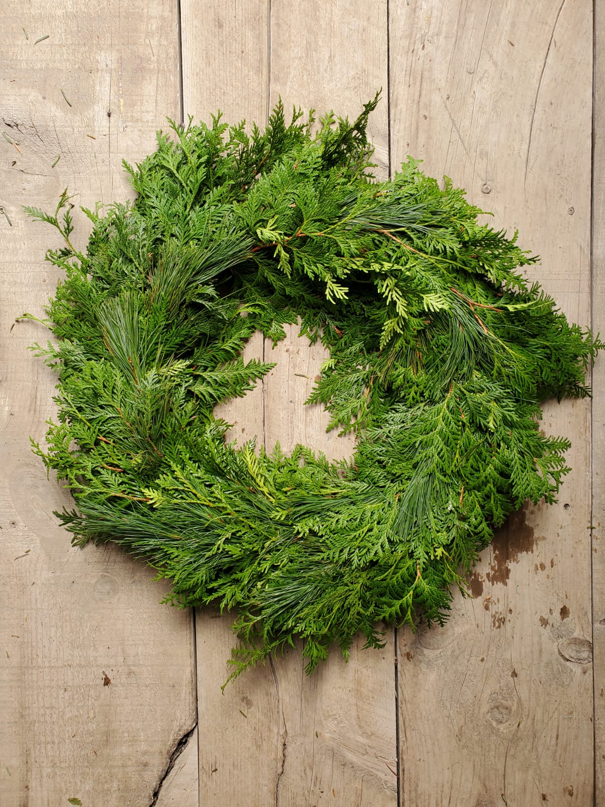 Mixed Evergreen Wreath (Undecorated)