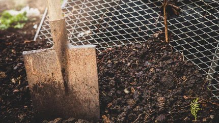 Composting: Turning Scraps into Black Gold - Georgina Garden Centre