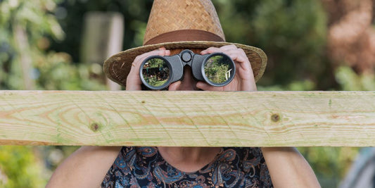 No Peeking! Using Plants for Privacy - Georgina Garden Centre
