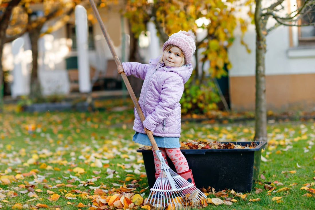 Your Lawn Called… It Wants a Fall Makeover - Georgina Garden Centre