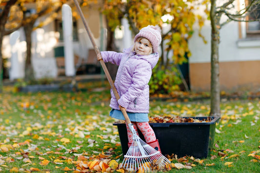 Your Lawn Called… It Wants a Fall Makeover - Georgina Garden Centre