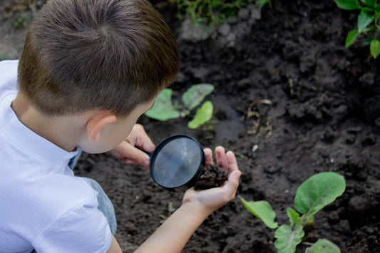 Mycorrhizae & Beneficial Soil Life - Georgina Garden Centre