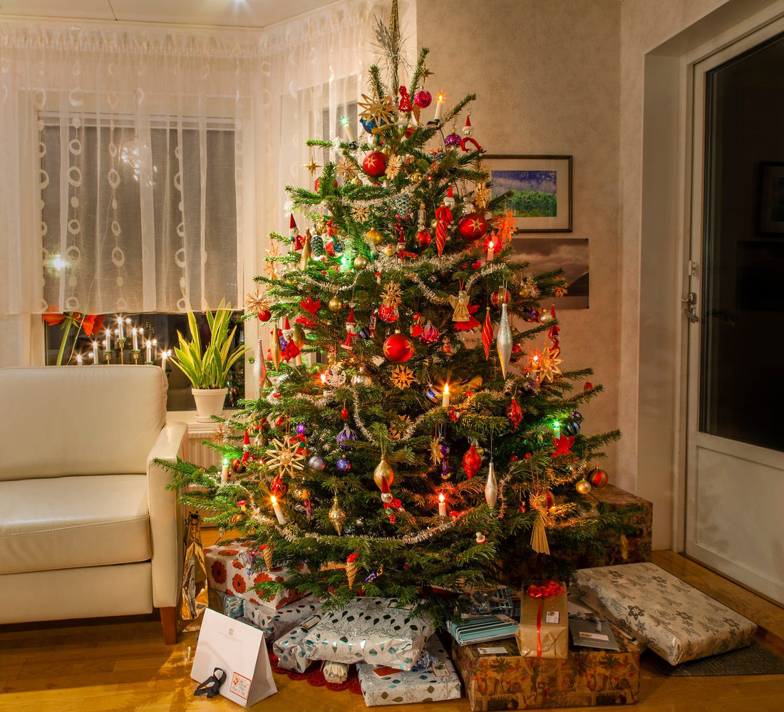 Say Yes to Fresh: How Real Christmas Trees Support Local Businesses and the Planet - Georgina Garden Centre