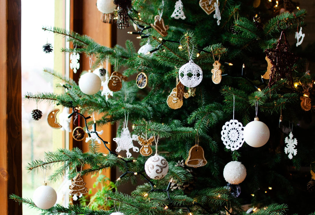 From Fraser to Balsam: Picking the Best Christmas Tree for Your Home - Georgina Garden Centre