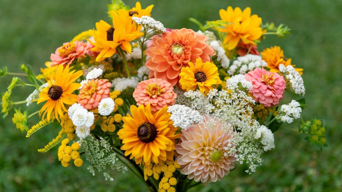 Floriography for Beginners: How to Speak in Flowers - Georgina Garden Centre