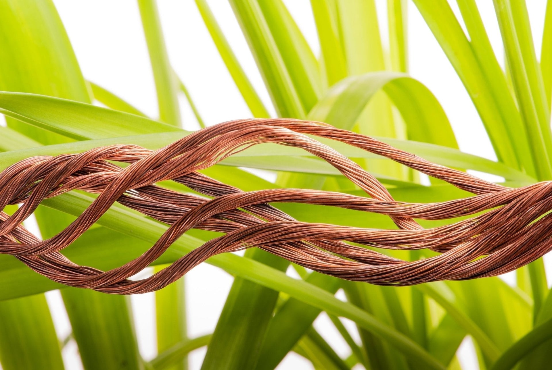 Copper, Coils, and Crops: A Beginner's Guide to Electroculture  Georgina  Garden Centre