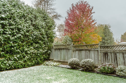 Closing Your Garden for the Winter: A Practical Guide - Georgina Garden Centre