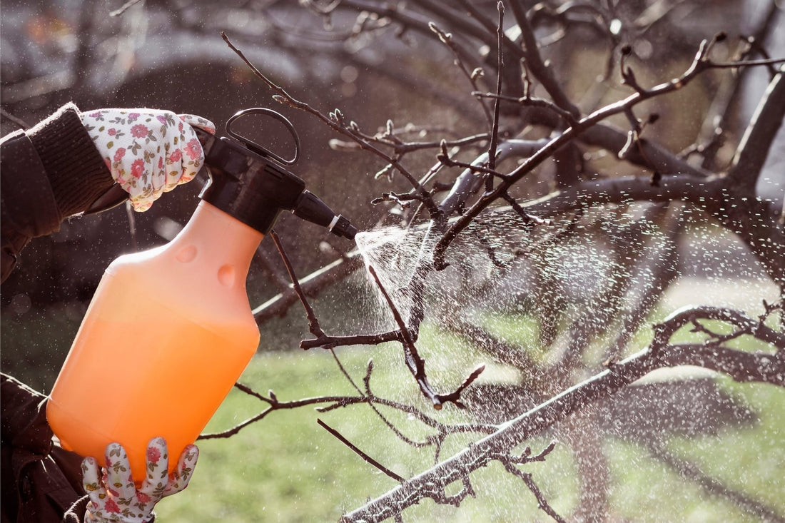 Stop Pests Before They Start: How to Apply Dormant Oil Like a Pro - Georgina Garden Centre