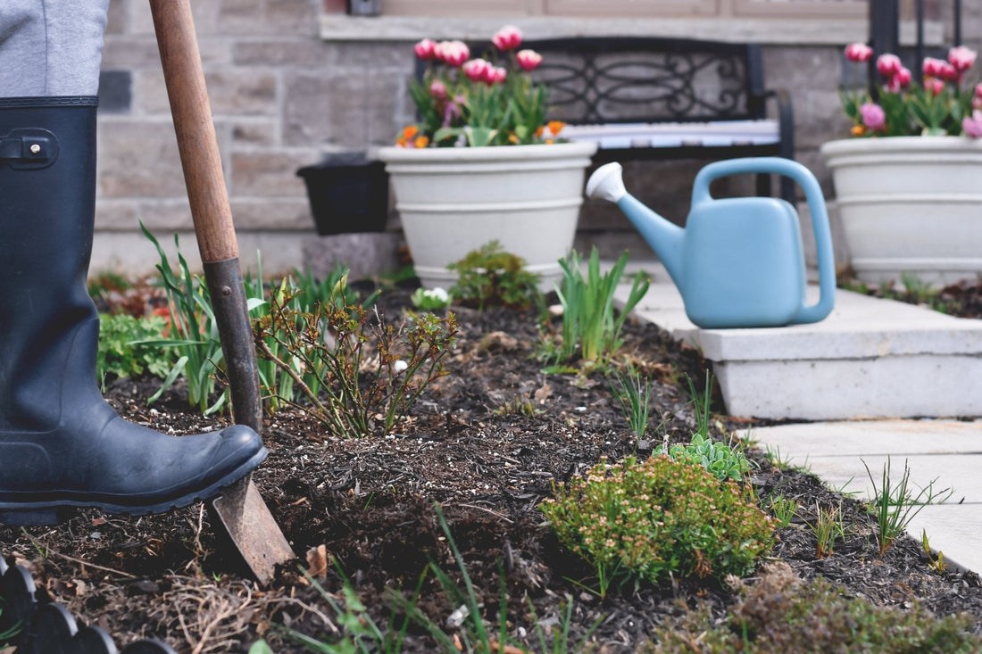 When You Start Gardening - Georgina Garden Centre