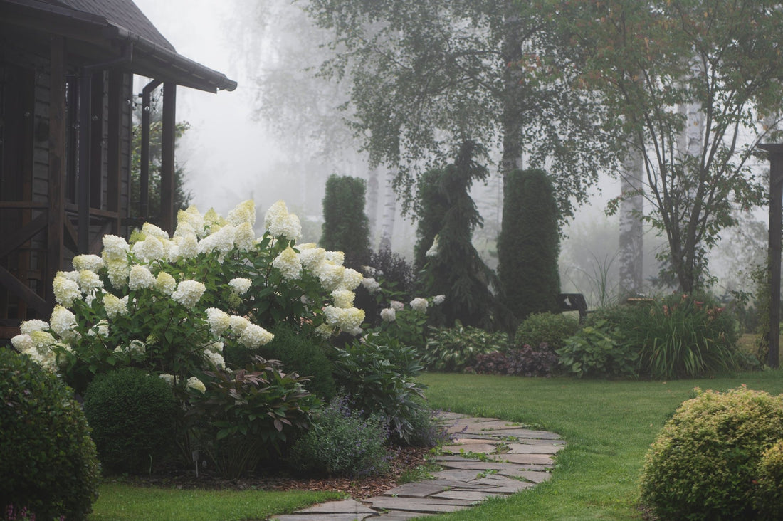 The Gardener’s Secret: Why September is Better Than June - Georgina Garden Centre