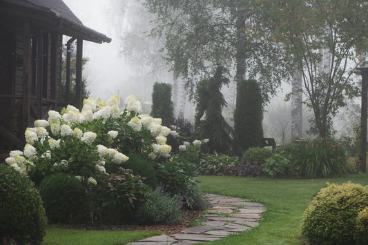 The Gardener’s Secret: Why September is Better Than June - Georgina Garden Centre
